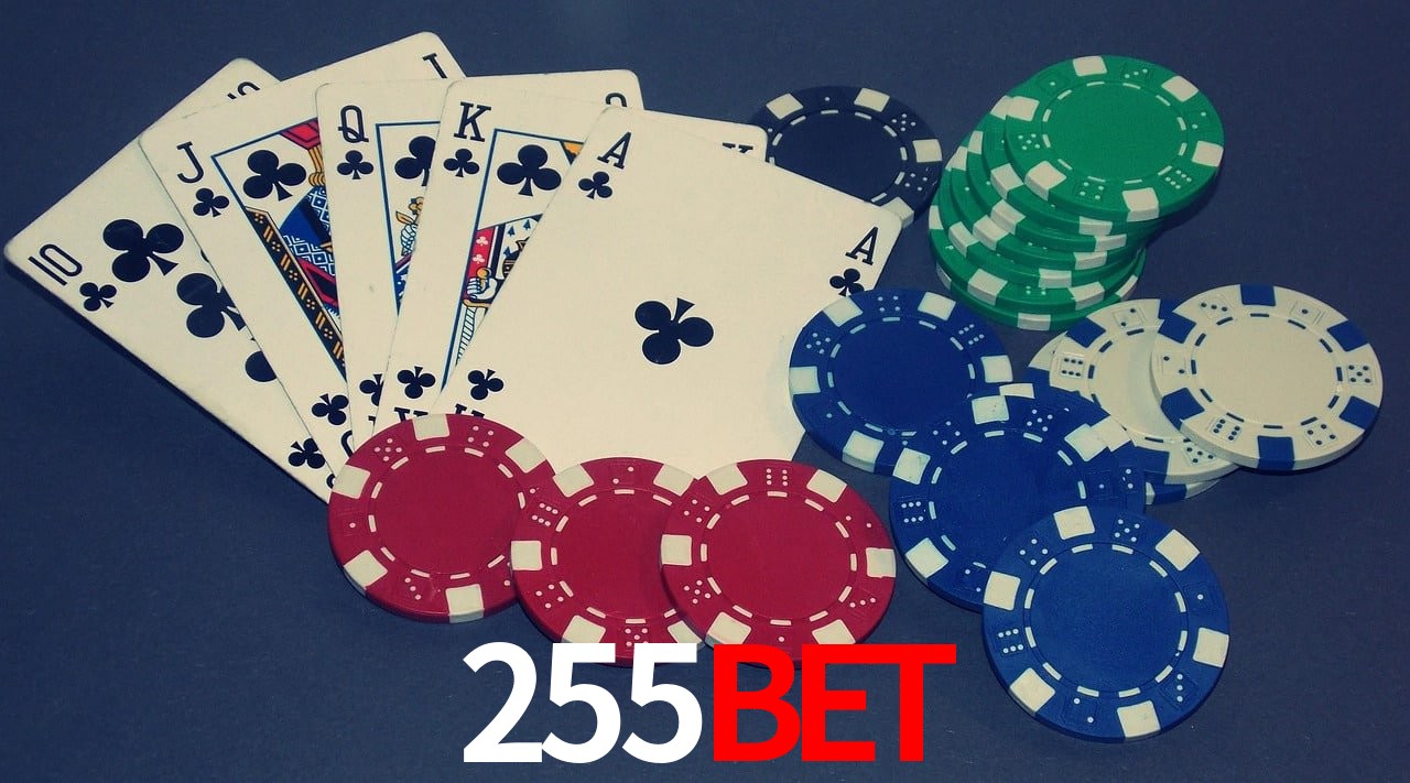 Experiência VIP 255Bet